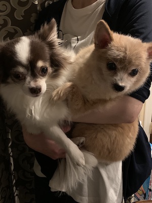 ローズテーブルMダイニング